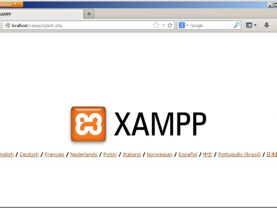 پیکربندی xampp - انتخاب زبان